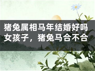 猪兔属相马年结婚好吗女孩子，猪兔马合不合