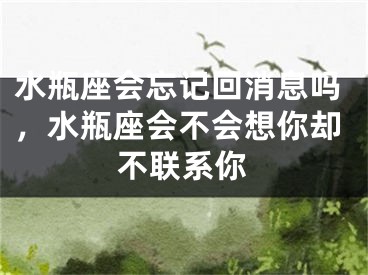 水瓶座会忘记回消息吗，水瓶座会不会想你却不联系你