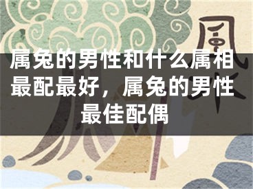 属兔的男性和什么属相最配最好，属兔的男性最佳配偶