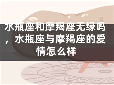 水瓶座和摩羯座无缘吗，水瓶座与摩羯座的爱情怎么样