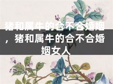猪和属牛的合不合婚姻，猪和属牛的合不合婚姻女人