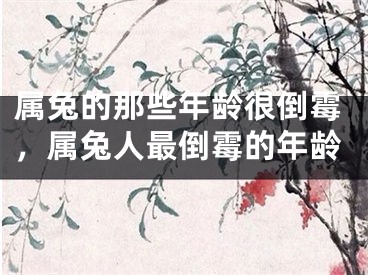 属兔的那些年龄很倒霉，属兔人最倒霉的年龄