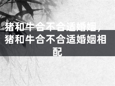 猪和牛合不合适婚姻，猪和牛合不合适婚姻相配