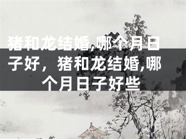 猪和龙结婚,哪个月日子好，猪和龙结婚,哪个月日子好些