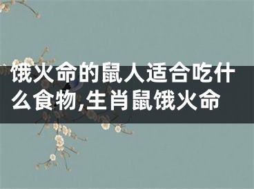 饿火命的鼠人适合吃什么食物,生肖鼠饿火命