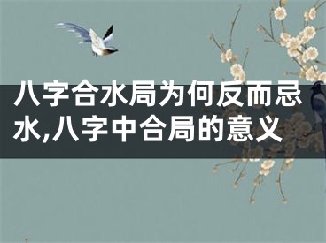 八字合水局为何反而忌水,八字中合局的意义