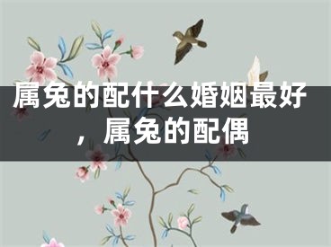 属兔的配什么婚姻最好，属兔的配偶