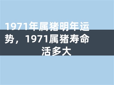 1971年属猪明年运势，1971属猪寿命活多大