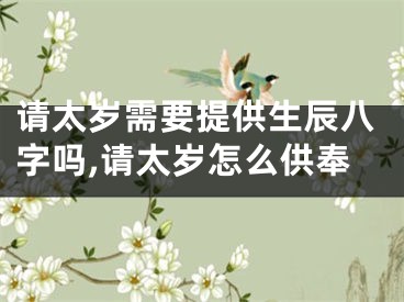 请太岁需要提供生辰八字吗,请太岁怎么供奉