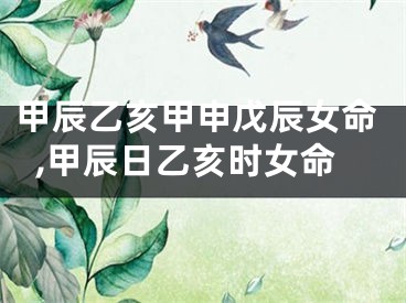 甲辰乙亥甲申戊辰女命,甲辰日乙亥时女命