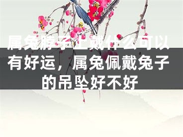 属兔脖子上戴什么可以有好运,属兔佩戴兔子的吊坠好不好