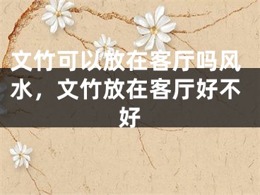 文竹可以放在客厅吗风水，文竹放在客厅好不好