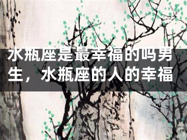 水瓶座是最幸福的吗男生，水瓶座的人的幸福