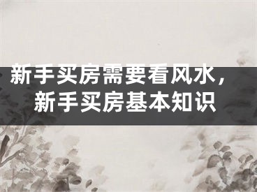 新手买房需要看风水，新手买房基本知识