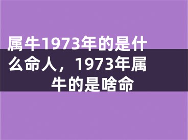 属牛1973年的是什么命人，1973年属牛的是啥命