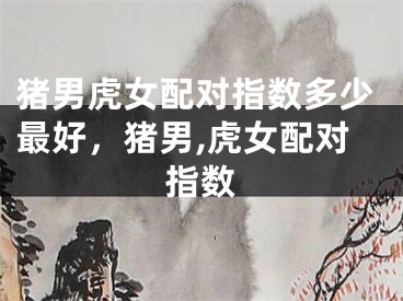 猪男虎女配对指数多少最好，猪男,虎女配对指数