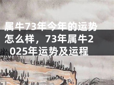 属牛73年今年的运势怎么样，73年属牛2025年运势及运程