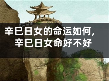 辛巳日女的命运如何,辛巳日女命好不好