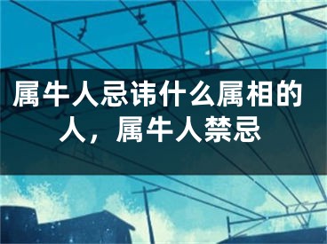属牛人忌讳什么属相的人，属牛人禁忌