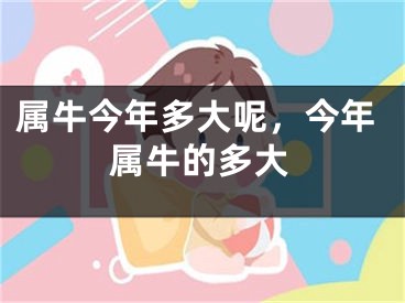 属牛今年多大呢，今年属牛的多大