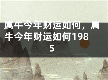 属牛今年财运如何，属牛今年财运如何1985