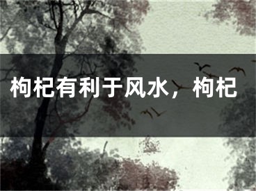 枸杞有利于风水，枸杞