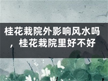 桂花栽院外影响风水吗，桂花栽院里好不好