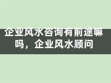 企业风水咨询有前途嘛吗，企业风水顾问
