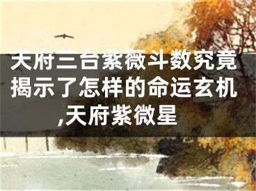 天府三台紫薇斗数究竟揭示了怎样的命运玄机,天府紫微星