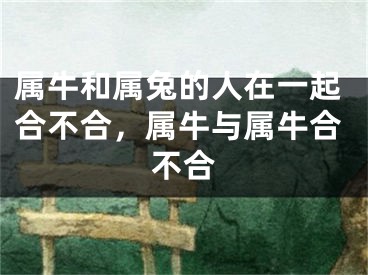 属牛和属兔的人在一起合不合,属牛与属牛合不合