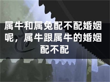 属牛和属兔配不配婚姻呢,属牛跟属牛的婚姻配不配