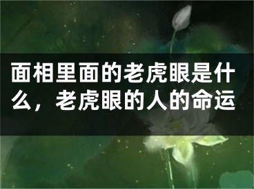 面相里面的老虎眼是什么，老虎眼的人的命运