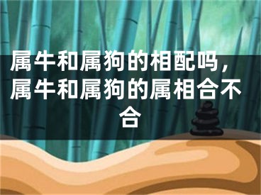 属牛和属狗的相配吗，属牛和属狗的属相合不合