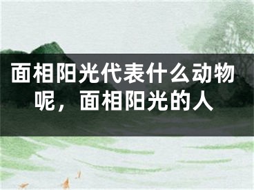 面相阳光代表什么动物呢，面相阳光的人