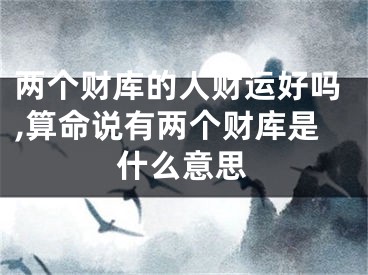 两个财库的人财运好吗,算命说有两个财库是什么意思