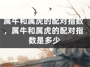 属牛和属虎的配对指数，属牛和属虎的配对指数是多少