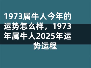 1973属牛人今年的运势怎么样，1973年属牛人2025年运势运程