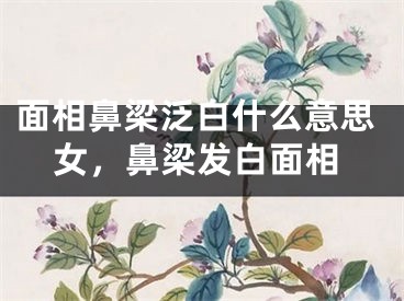 面相鼻梁泛白什么意思女，鼻梁发白面相