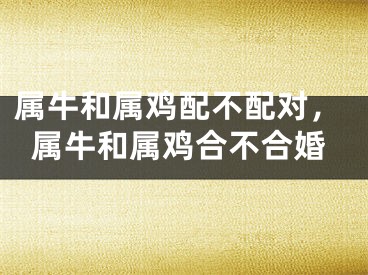 属牛和属鸡配不配对，属牛和属鸡合不合婚