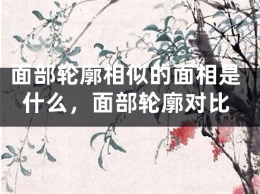 面部轮廓相似的面相是什么，面部轮廓对比