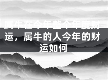 属牛在今年整个年度财运，属牛的人今年的财运如何
