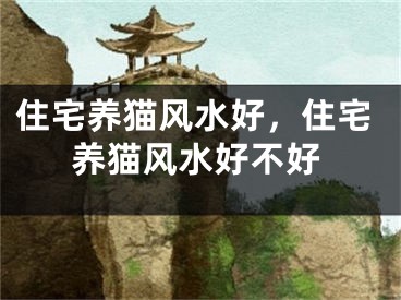 住宅养猫风水好，住宅养猫风水好不好