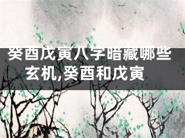 癸酉戊寅八字暗藏哪些玄机,癸酉和戊寅