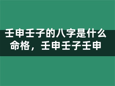 壬申壬子的八字是什么命格,壬申壬子壬申