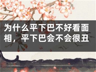 为什么平下巴不好看面相，平下巴会不会很丑