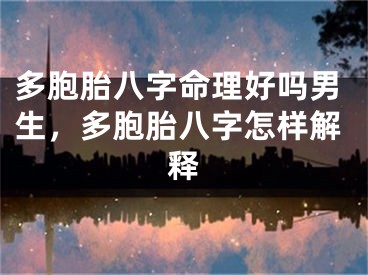 多胞胎八字命理好吗男生，多胞胎八字怎样解释