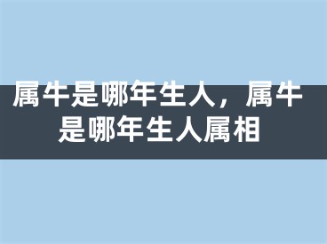 属牛是哪年生人，属牛是哪年生人属相