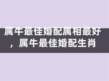 属牛最佳婚配属相最好，属牛最佳婚配生肖