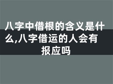 八字中借根的含义是什么,八字借运的人会有报应吗