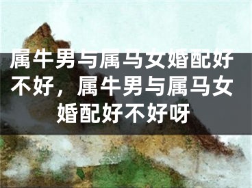 属牛男与属马女婚配好不好，属牛男与属马女婚配好不好呀